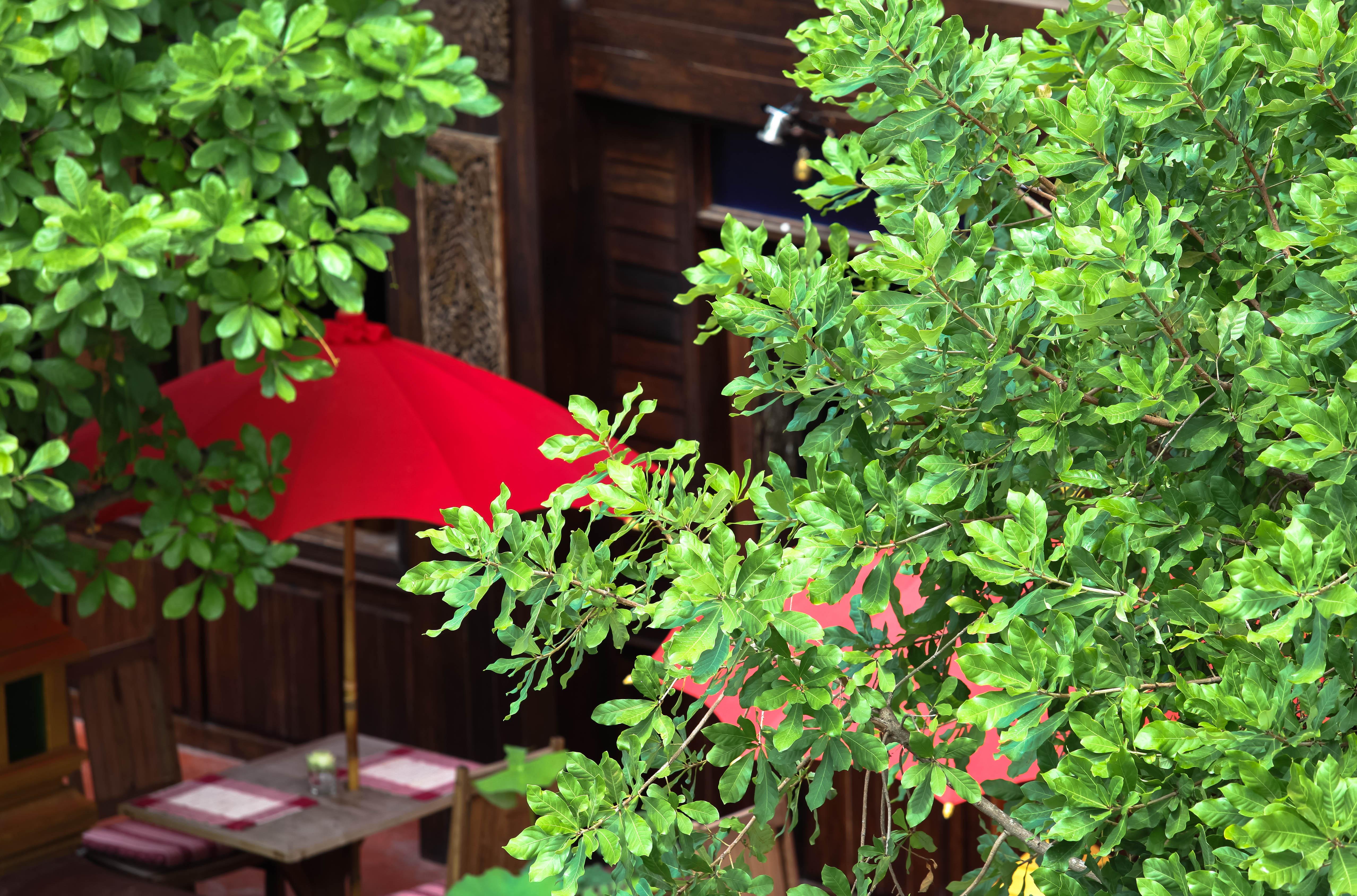 Singha Montra Lanna Boutique Style Hotel Chiang Mai Ngoại thất bức ảnh